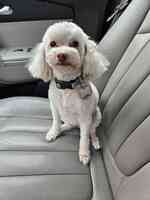 North Bark Pet Grooming