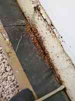 Moerman Pest Control/Michigan Termite Service Inc.