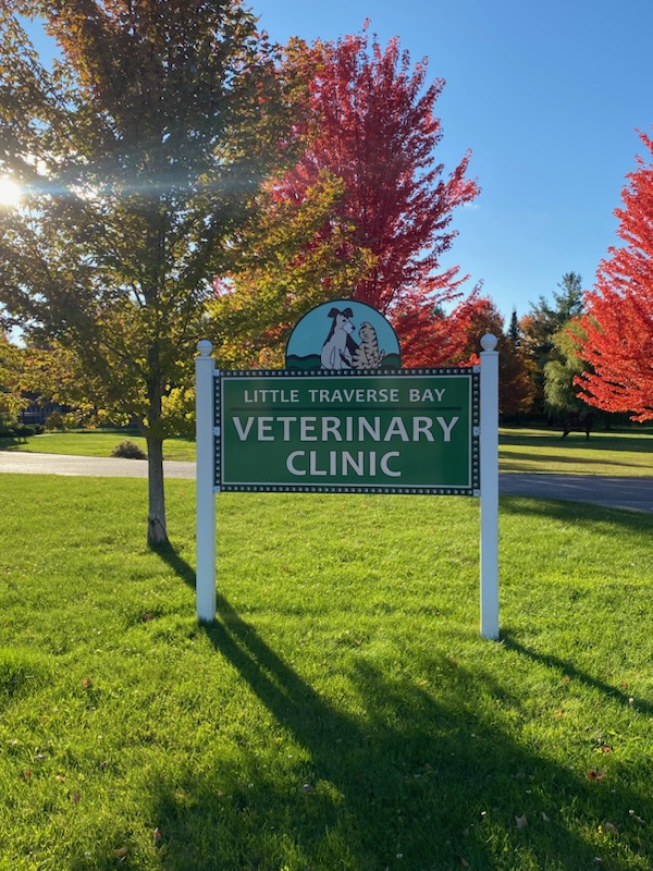 Little Traverse Bay Veterinary Clinic 1320 W Conway Rd, Harbor Springs Michigan 49740