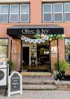 Olive & Ivy Company