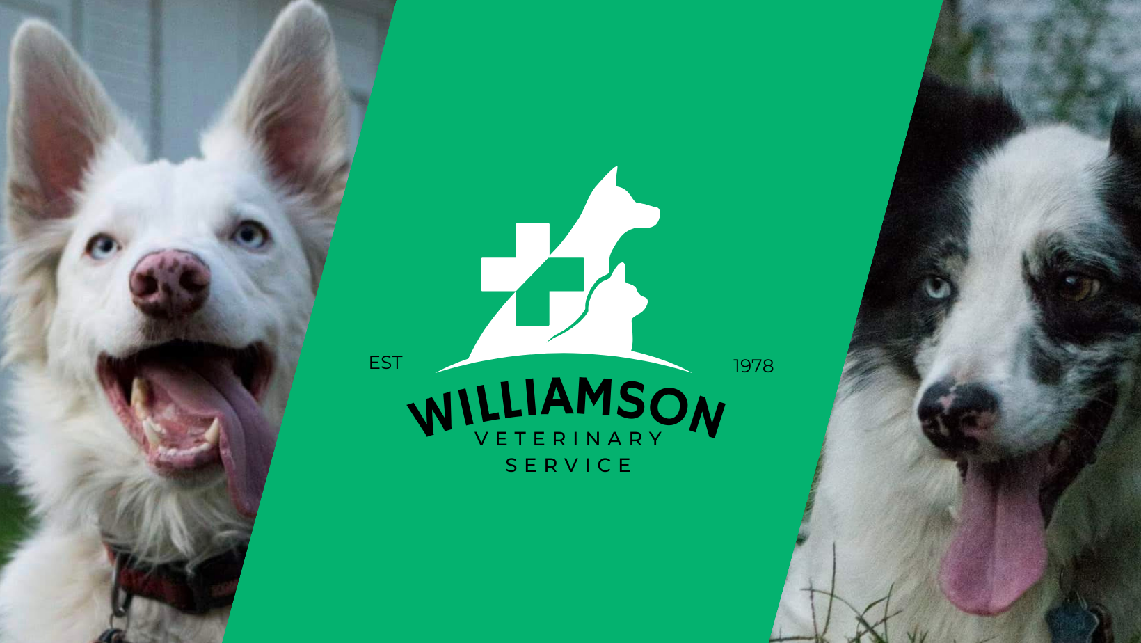 Williamson Veterinary Service 3540 S Alger Rd, Ithaca Michigan 48847