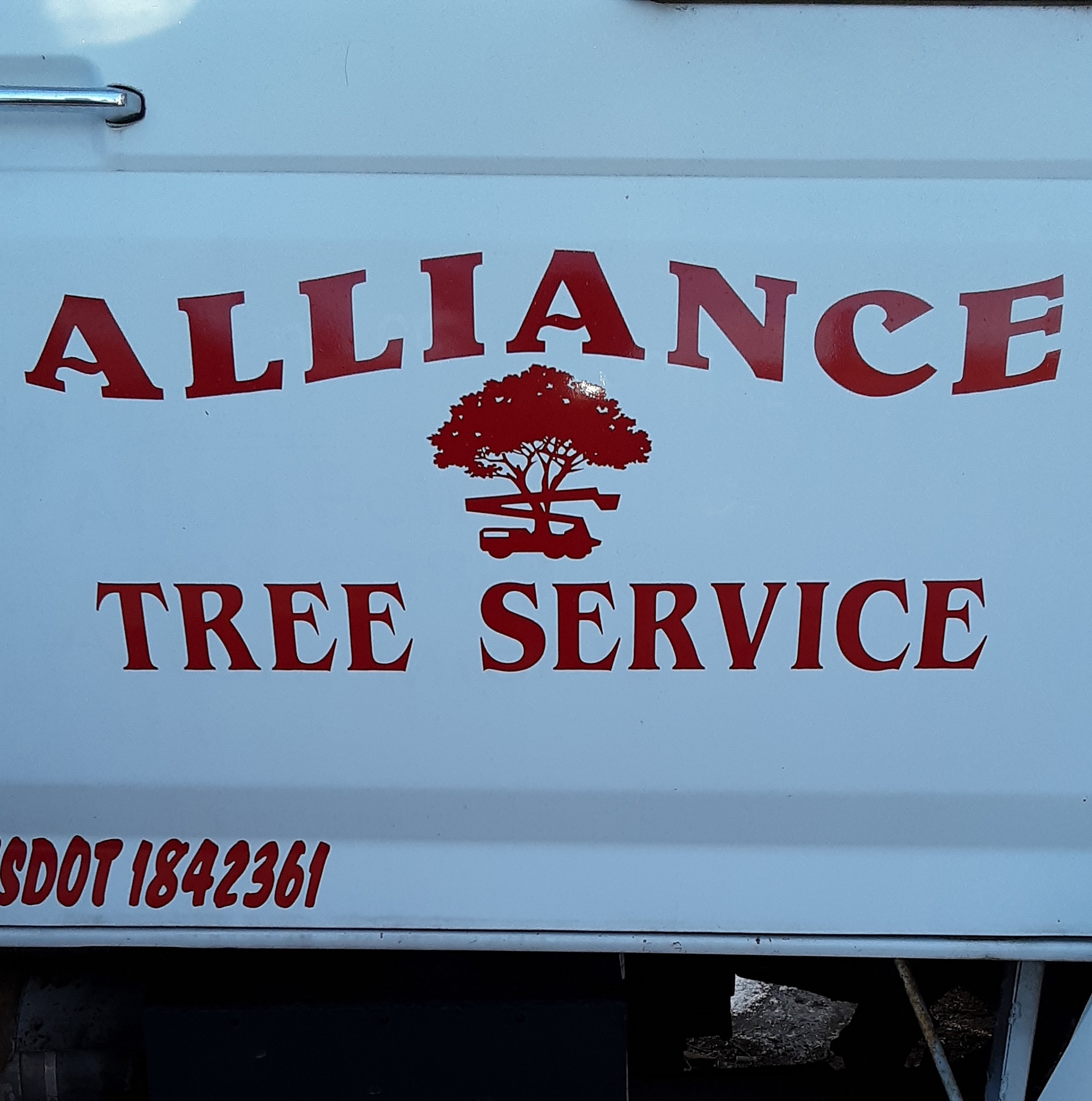 Alliance Tree Service 311 Pearl St, Mio Michigan 48647