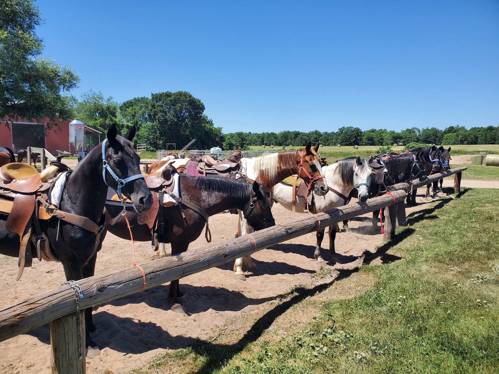 Stony Lake Stables 4345 S 44th Ave, New Era Michigan 49446