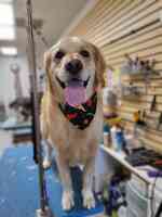 U Lucky Dog Pet Salon