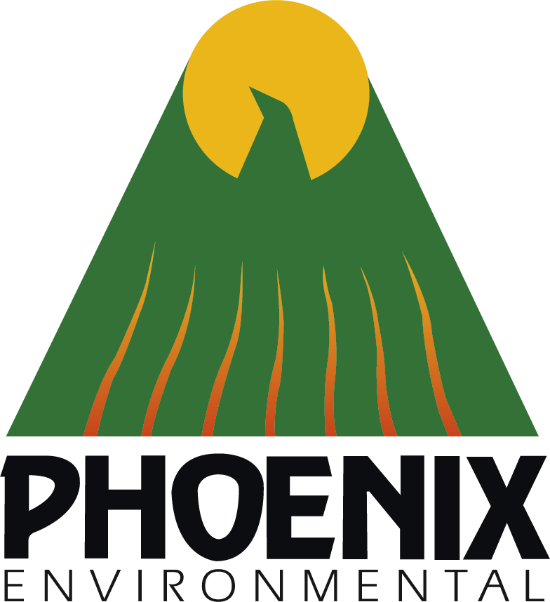 Phoenix Environmental Inc