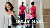 Molly Maid of Troy