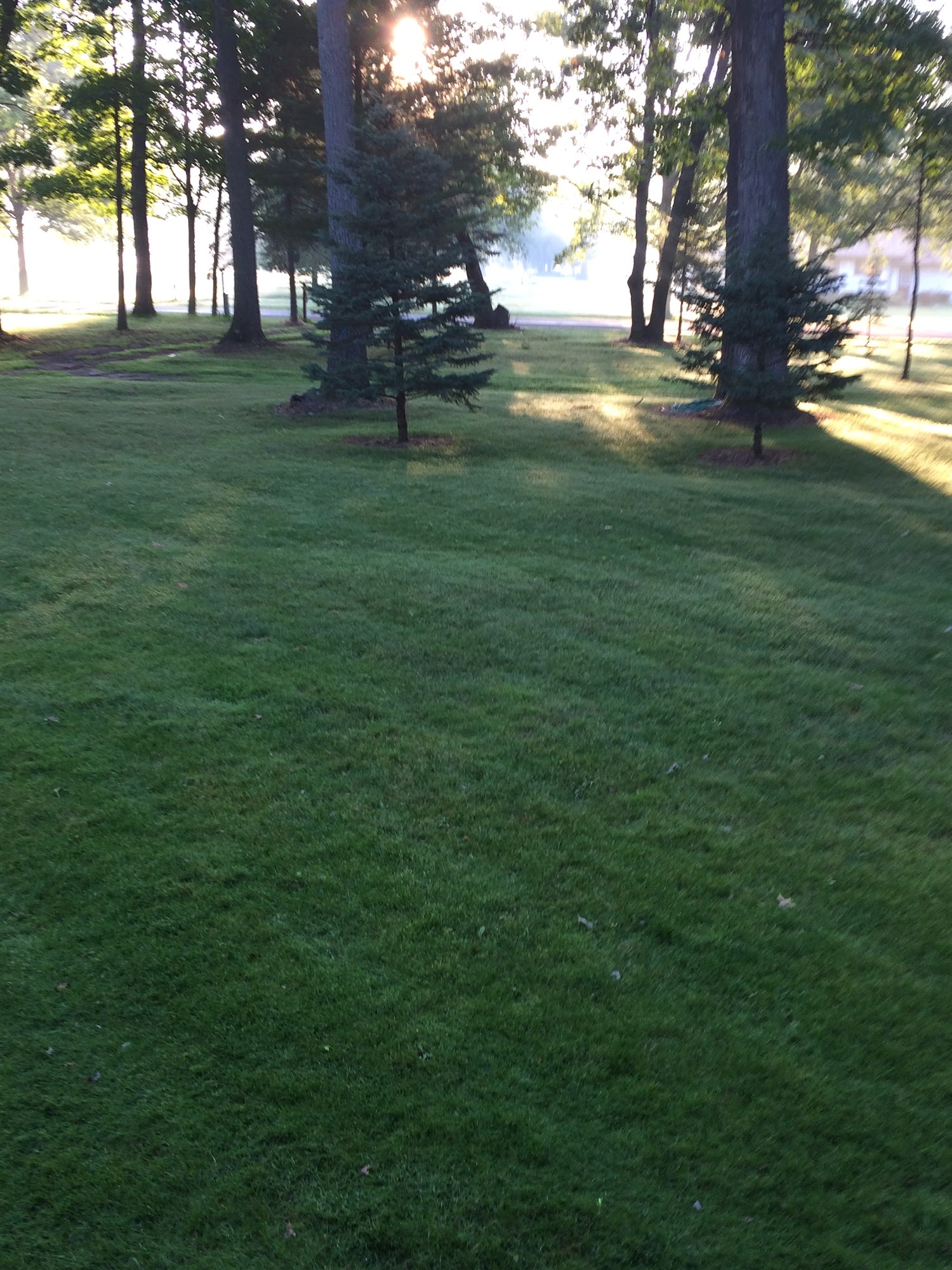 Foutch lawn irrigation