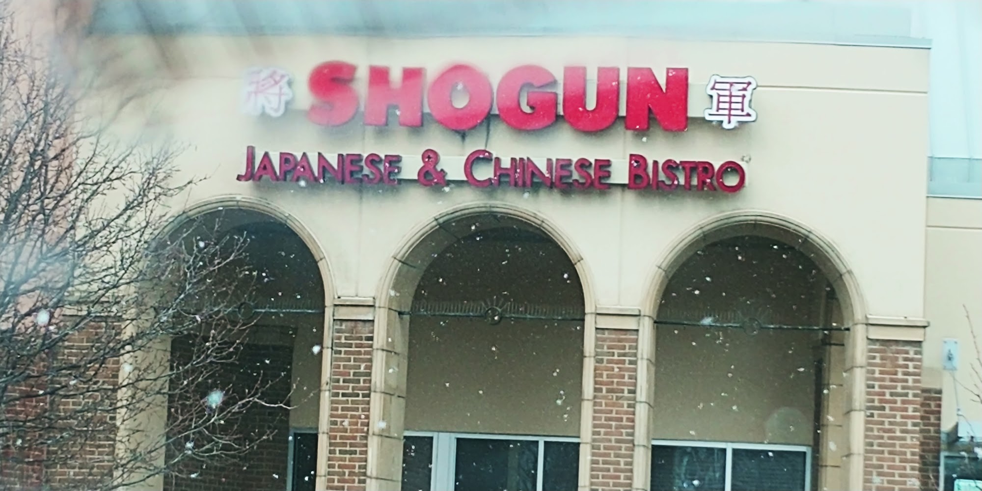 Shogun Japanese and Chinese Bistro