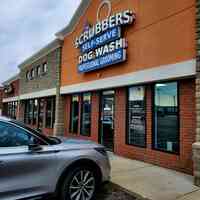 Scrubbers Self-Serve Dog Wash & Professional Grooming - West Bloomfield