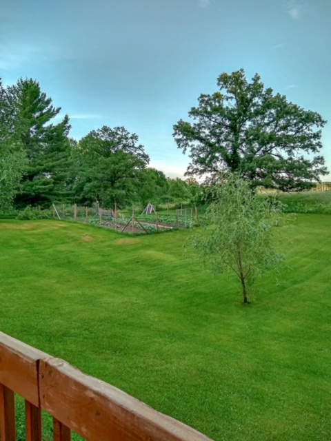 Bemidji Lawn & Snow Service