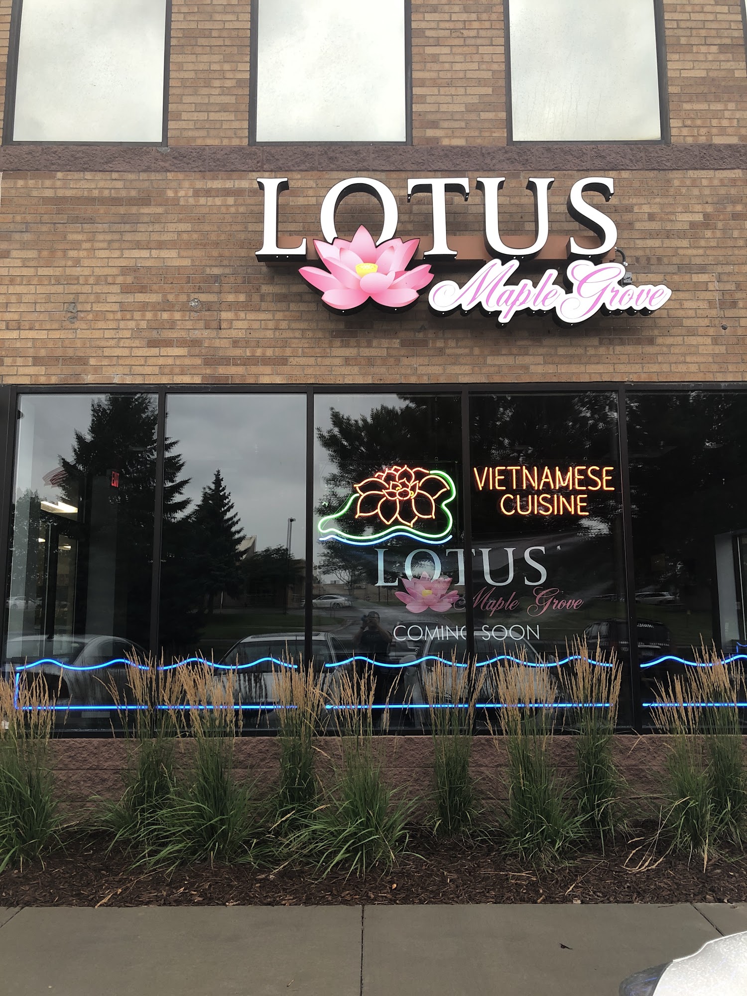 Lotus Maple Grove