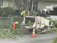 The Tree Removal Pros