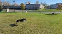 The Canine Coach - West St Paul