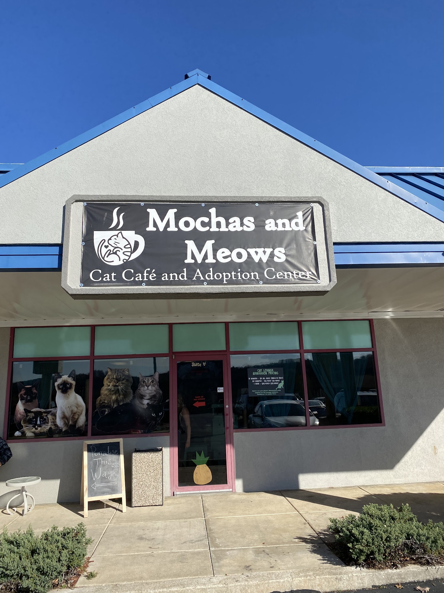 Mochas and Meows