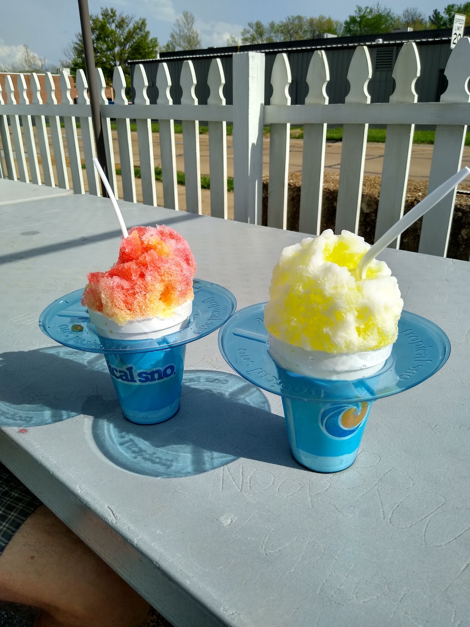 R & M Tropical Sno