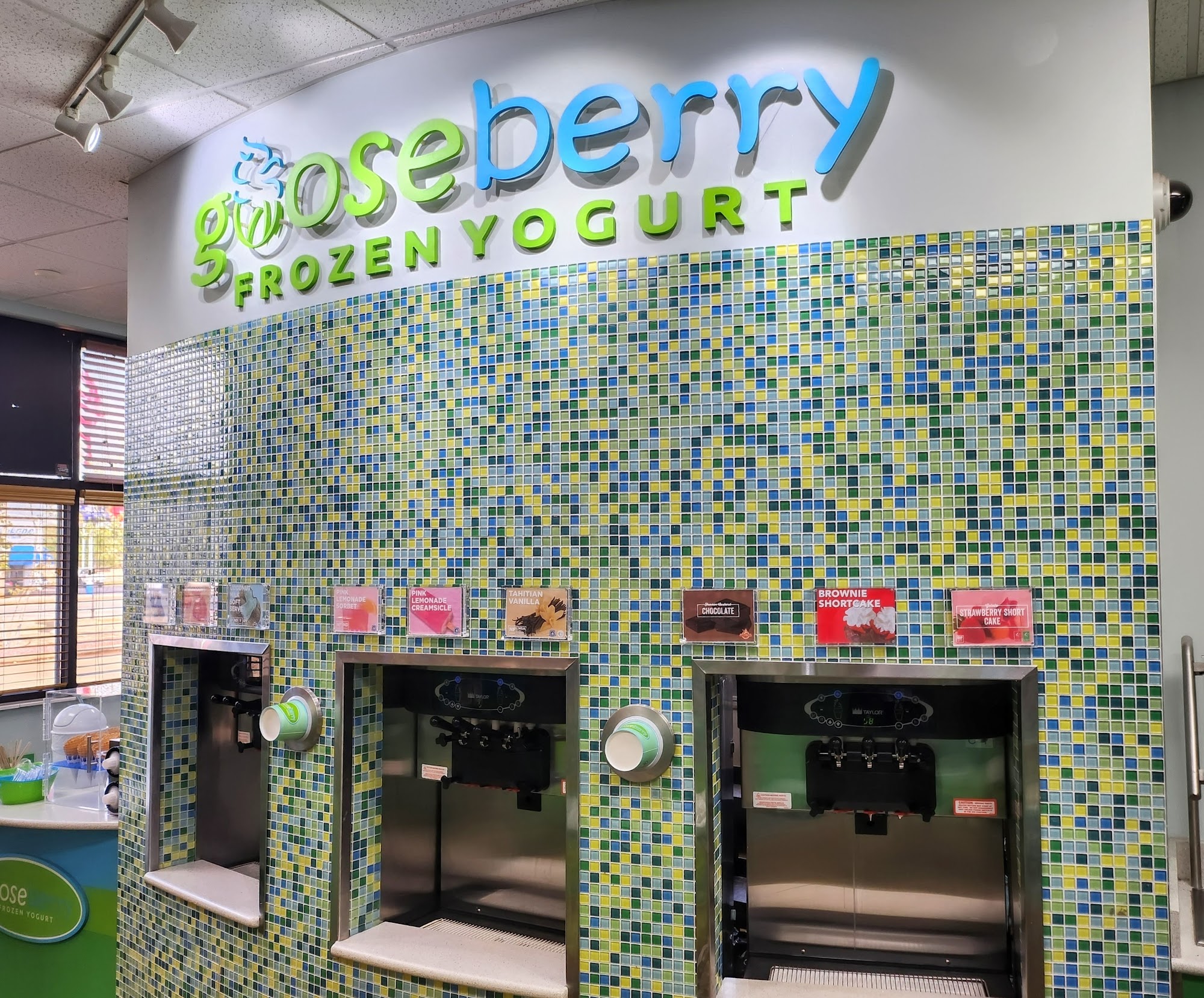 Gooseberry Frozen Yogurt