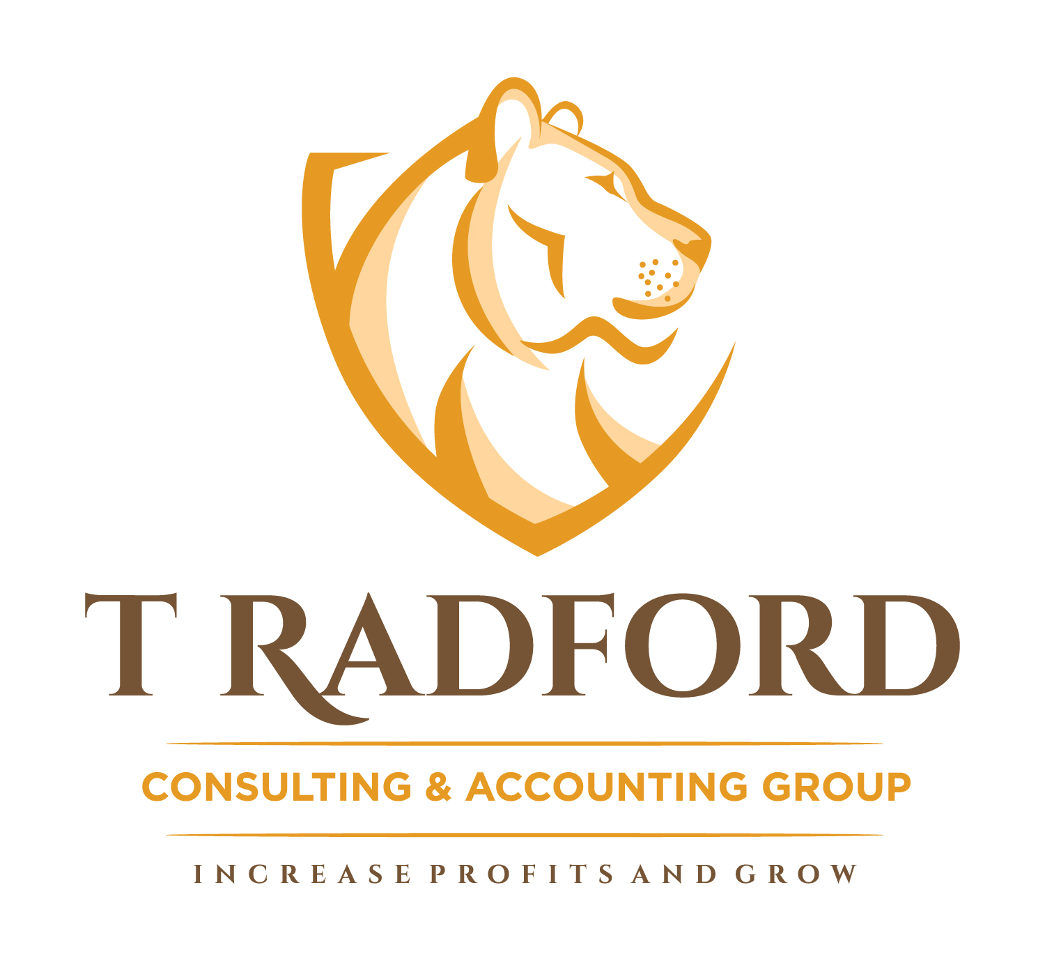 T Radford Consulting & Accounting Group