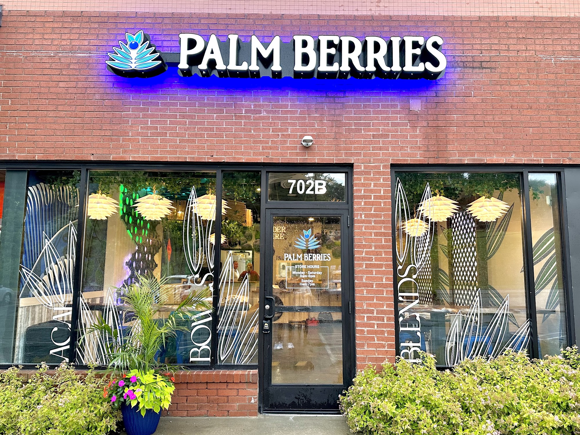 Palm Berries