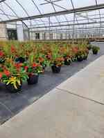 Baucom's Nursery Company