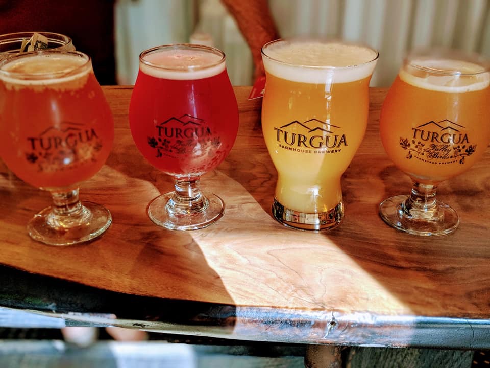 Turgua Brewing