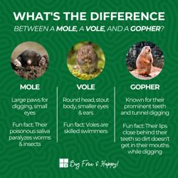 Bulwark Exterminating