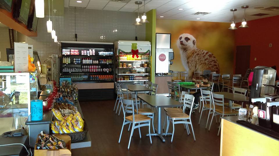 Meerkat Café