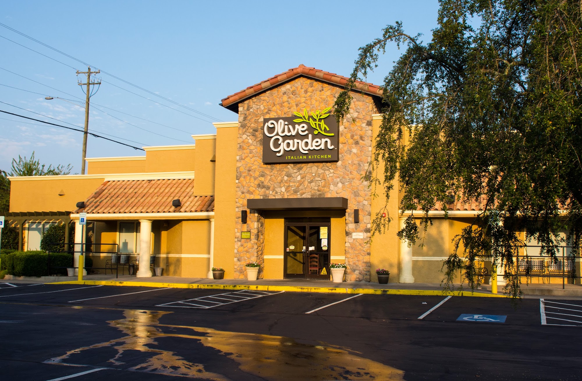 Olive Garden Italian Restaurant