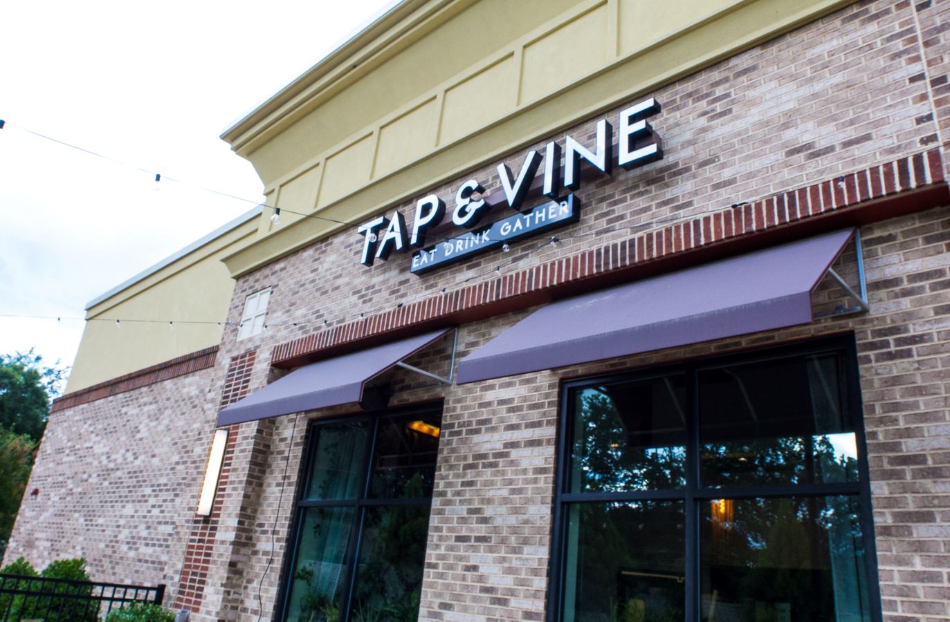 Tap and Vine