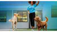 Pet Paradise Mooresville