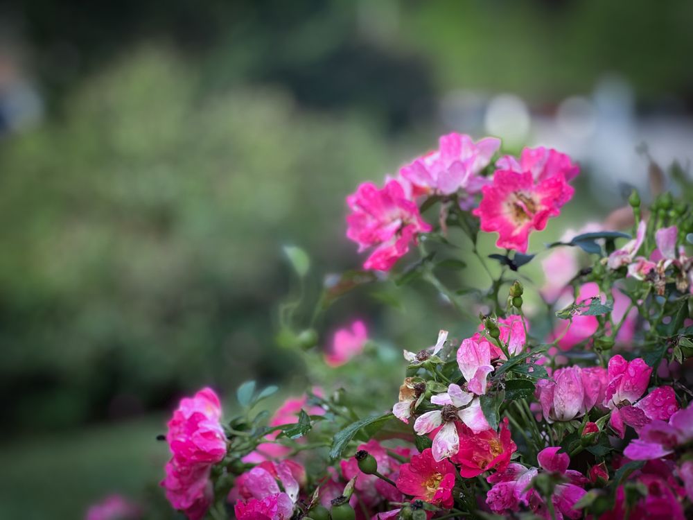 Photo credit: 