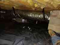 The CrawlSpace King