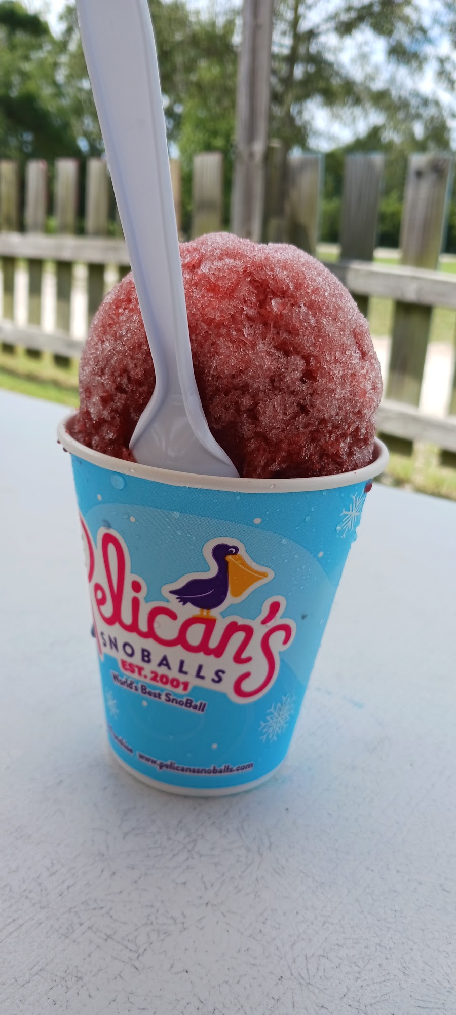 Pelican’s SnoBalls of Snead's Ferry