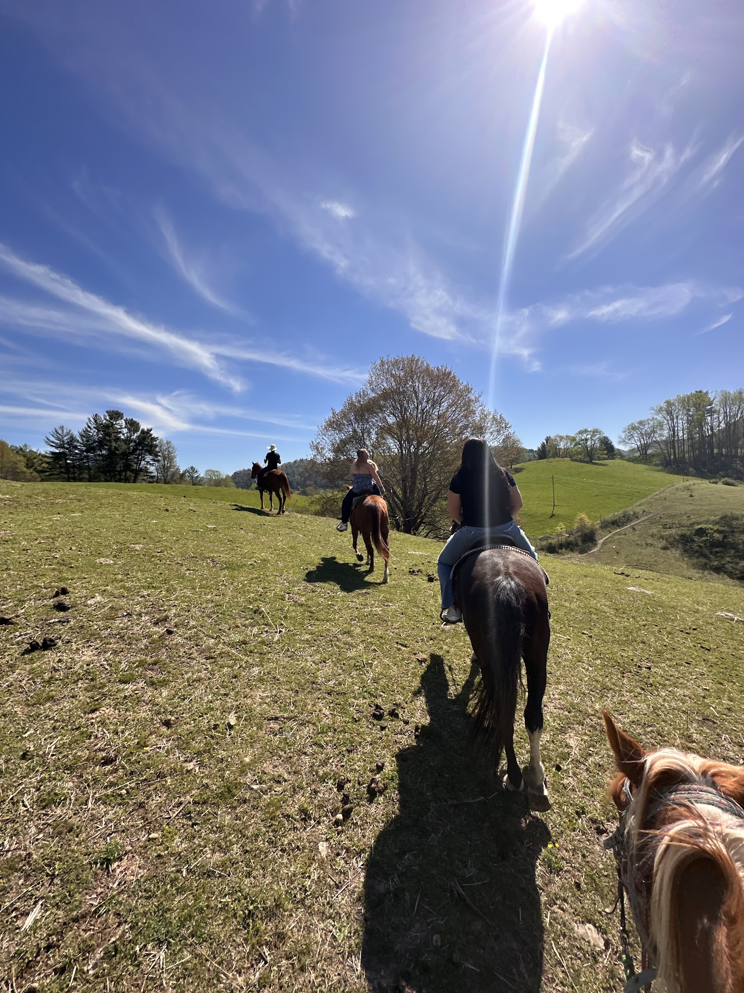 Dutch Creek Trails 3740 Bethel Rd, Sugar Grove North Carolina 28679