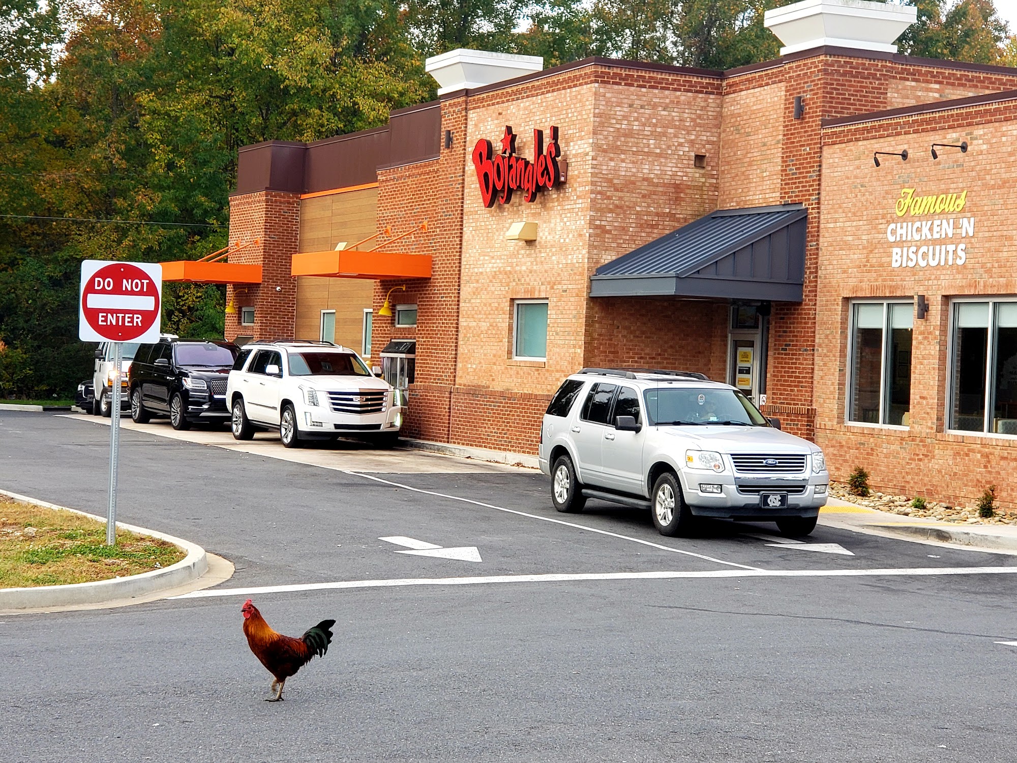 Bojangles