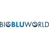 Big Blu World
