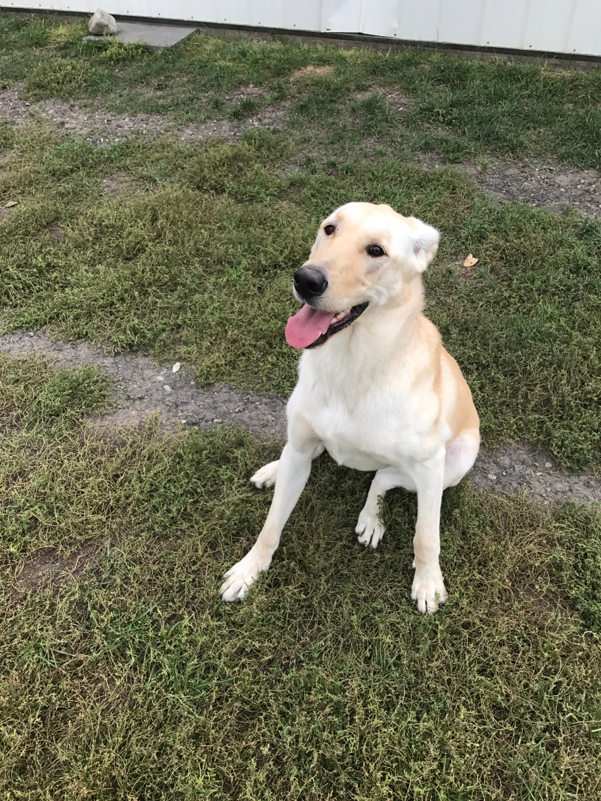 Eddie And Barkus 16893 29th St SE, Harwood North Dakota 58042