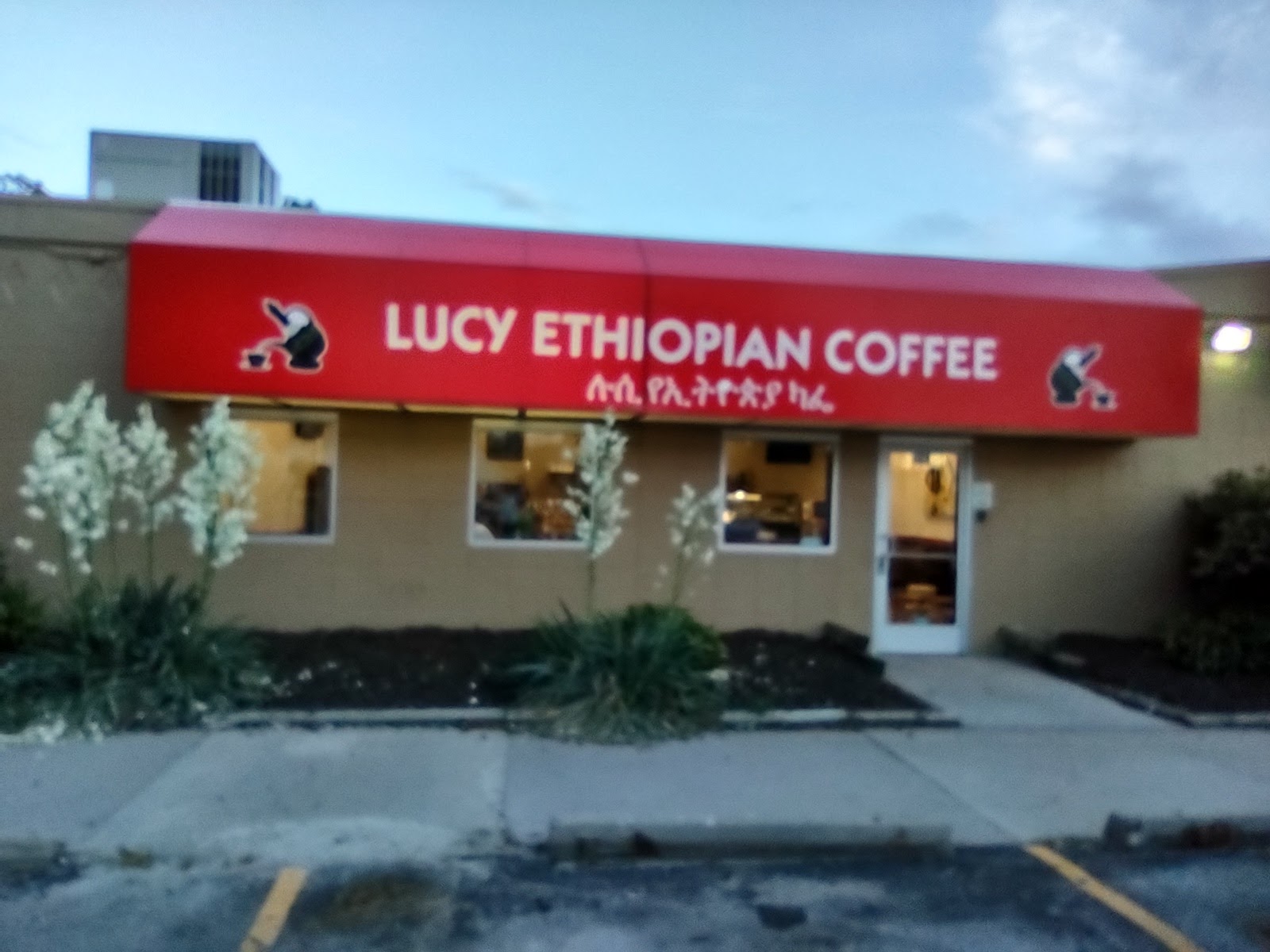 Lucy Ethiopian Coffee