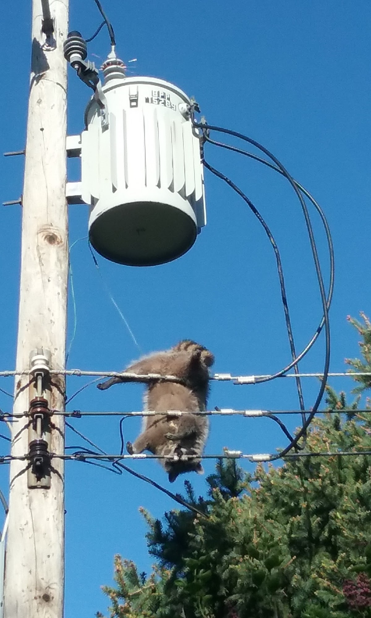 Bladt's Heating & Air Conditioning