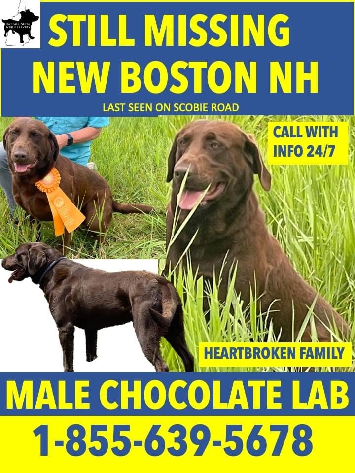 The Dog Barn at Hundred Acres Farm New Boston