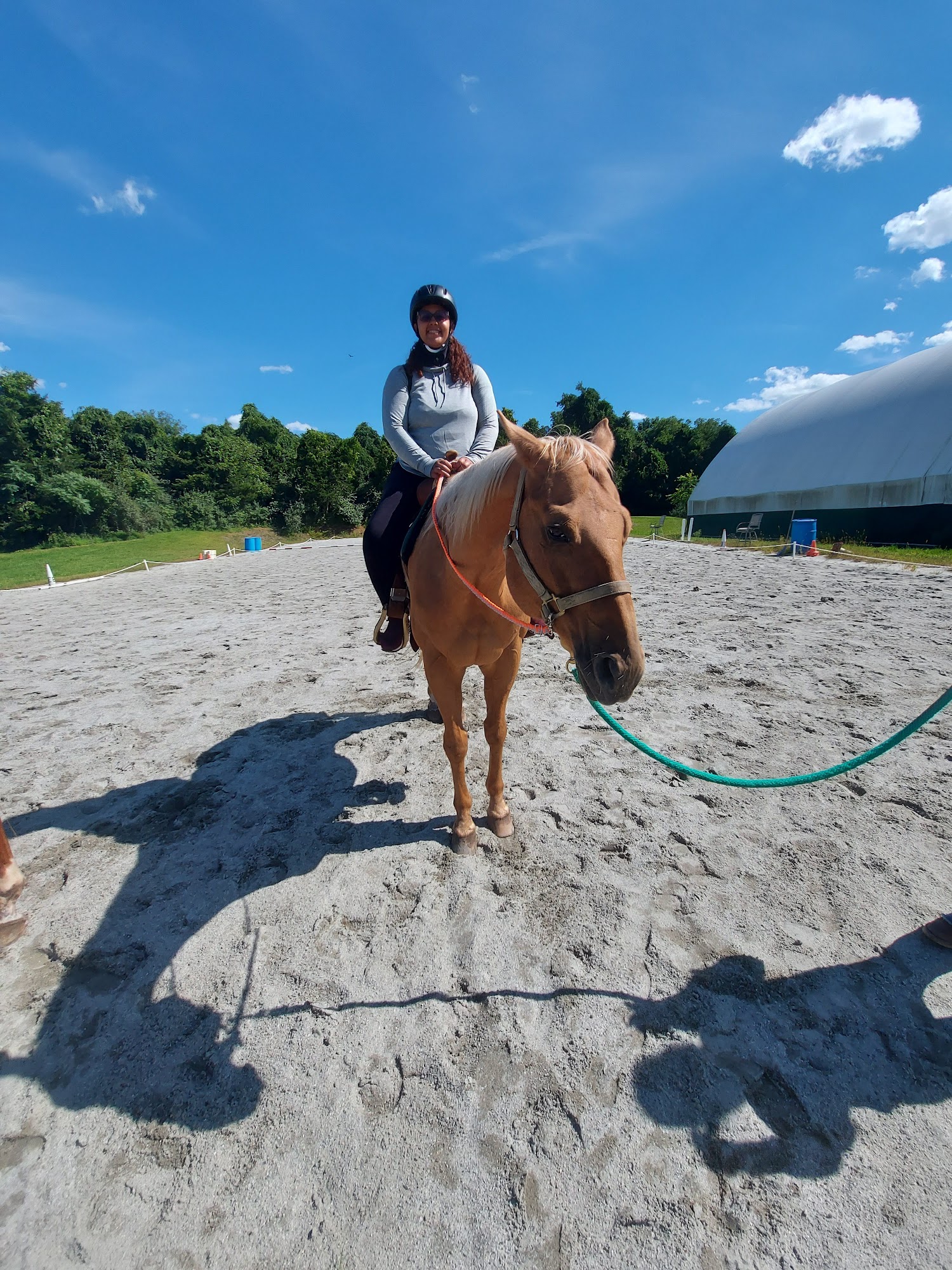 Equine Tranquility Wellness Center 134 Airport Rd, Andover New Jersey 07821