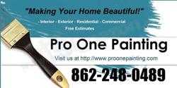 Pro One Painting