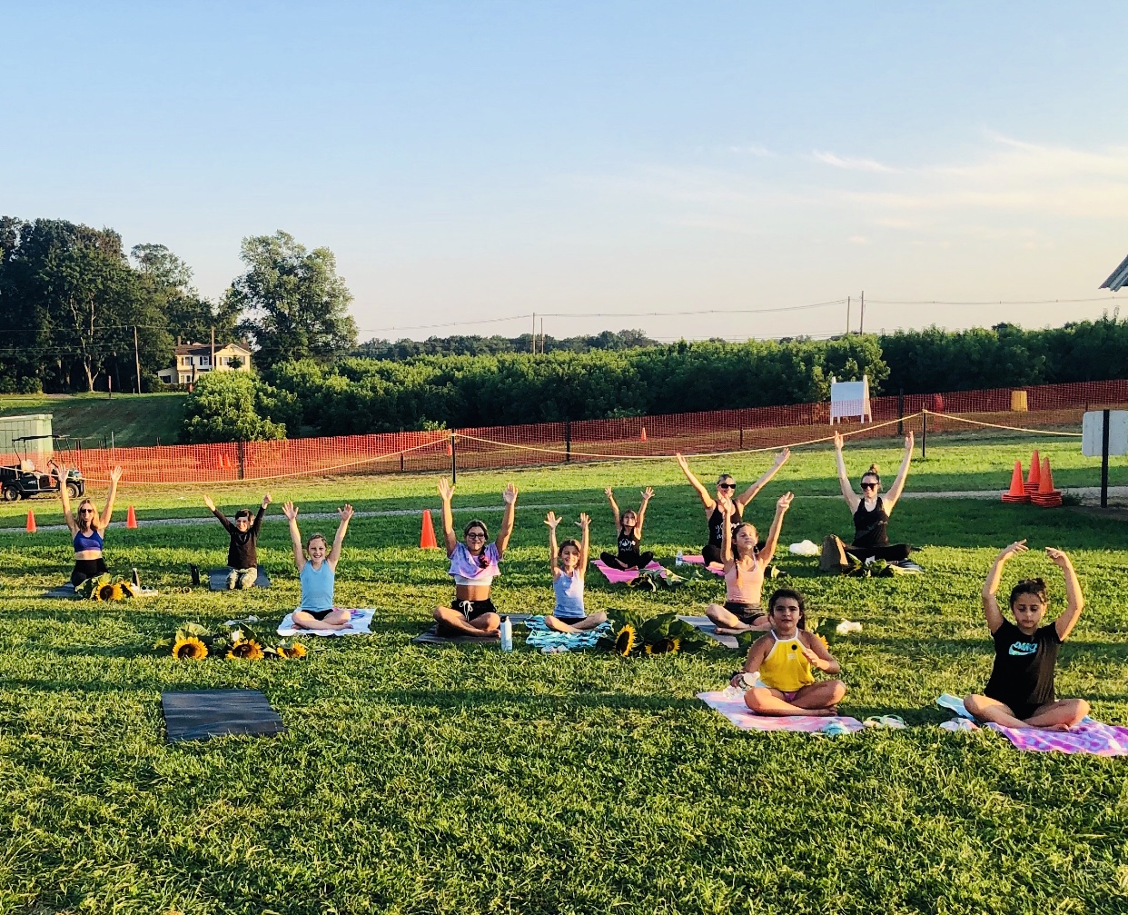 Dragonfly Aerial Yoga Studio 411 NJ-34, Colts Neck New Jersey 07722