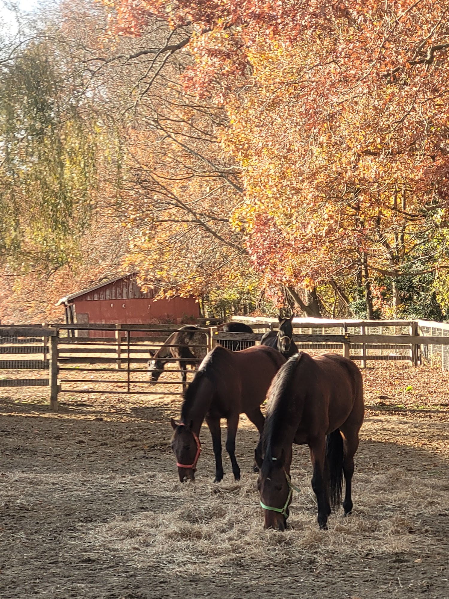 Walnridge Farm 42 Arneytown-Hornerstown Rd, Cream Ridge New Jersey 08514