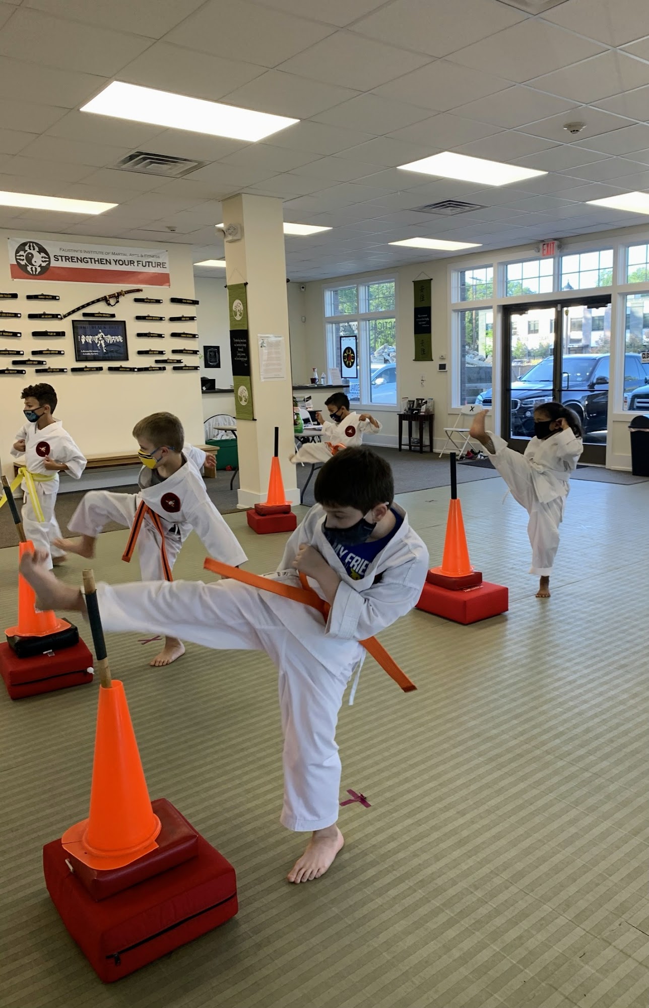 Faustini's Institute of Martial Arts and Fitness 200 Kinderkamack Rd, Emerson New Jersey 07630