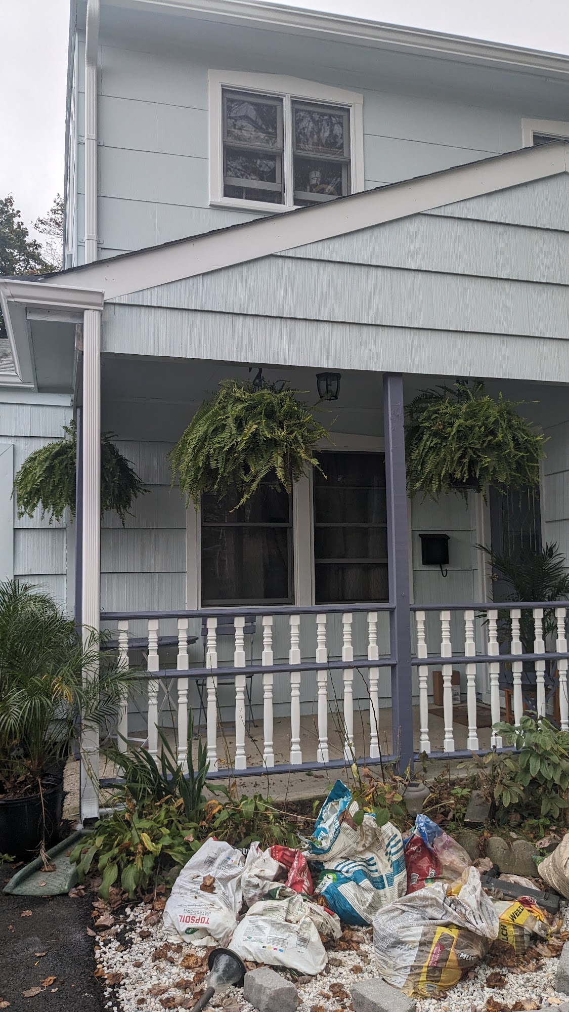 Edy's Quality Painting