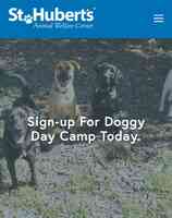 St. Hubert's Doggy Day Camp