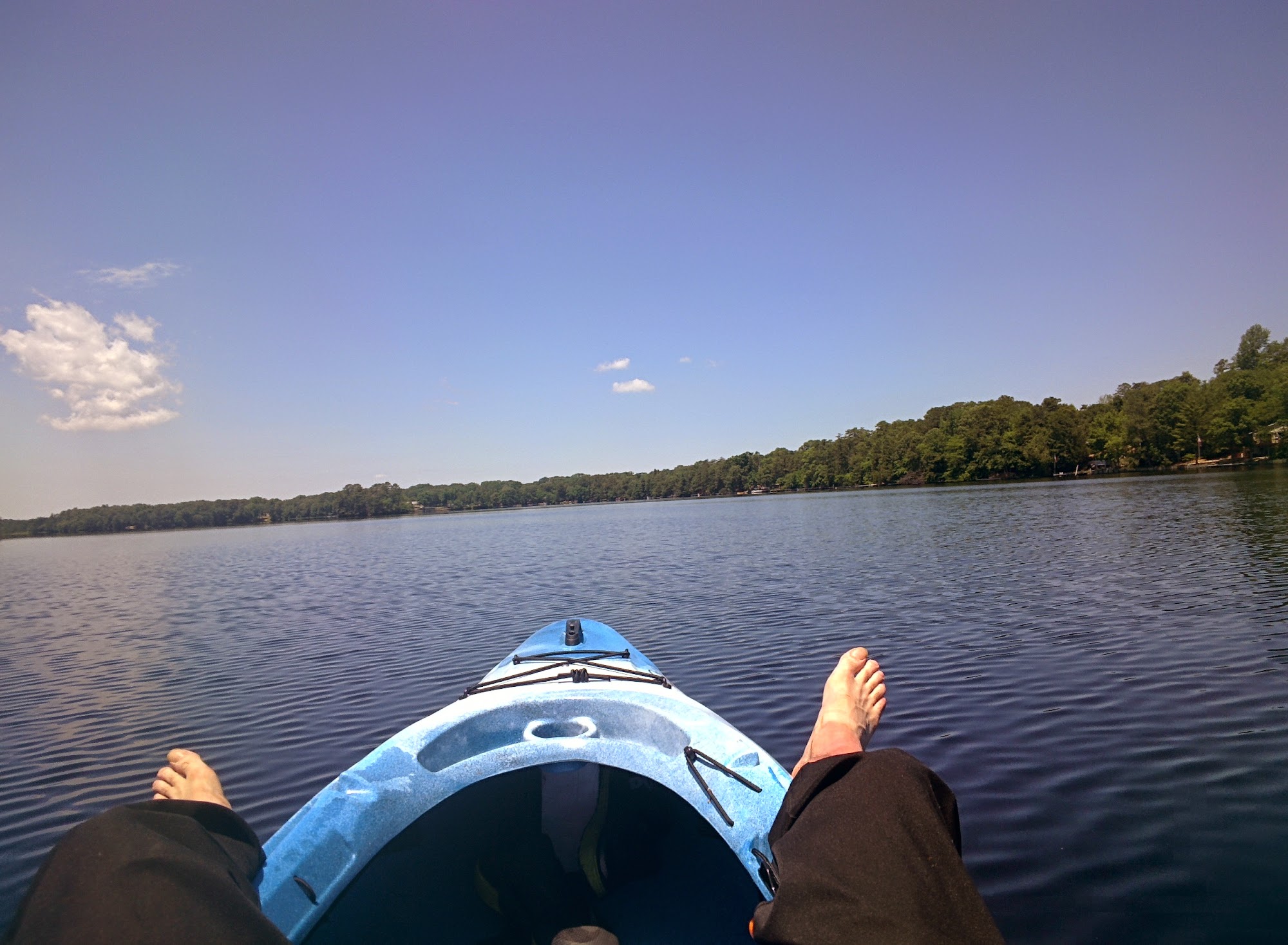 Shepherd & Son Termite