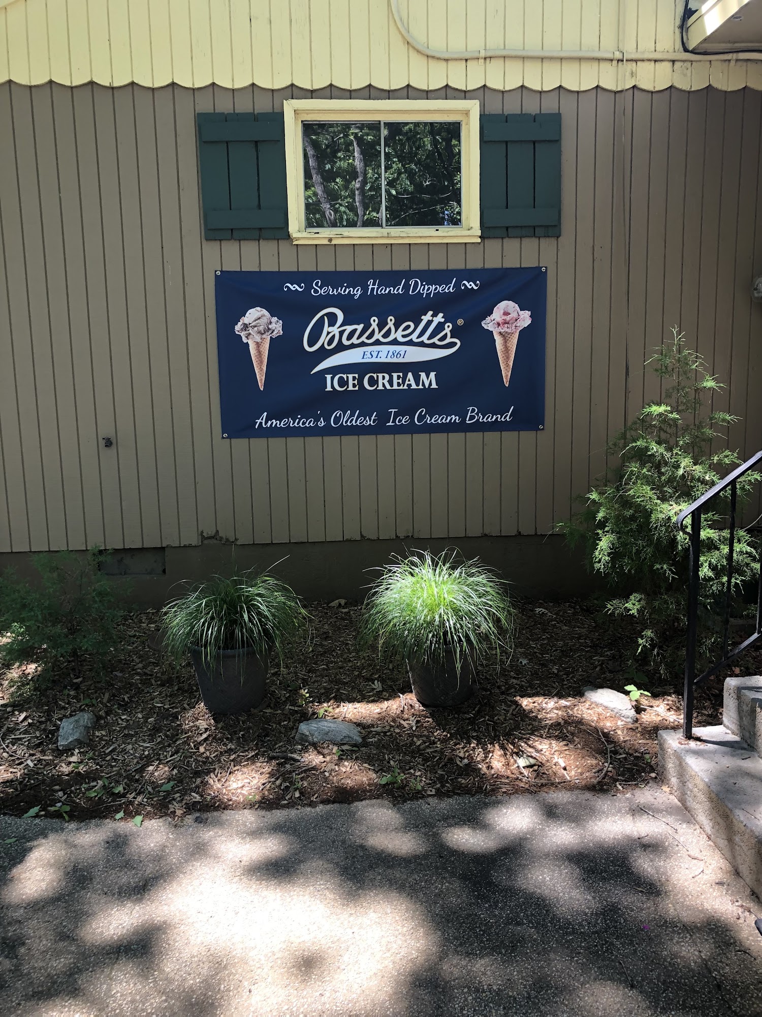 The Woods Ice Cream Shop