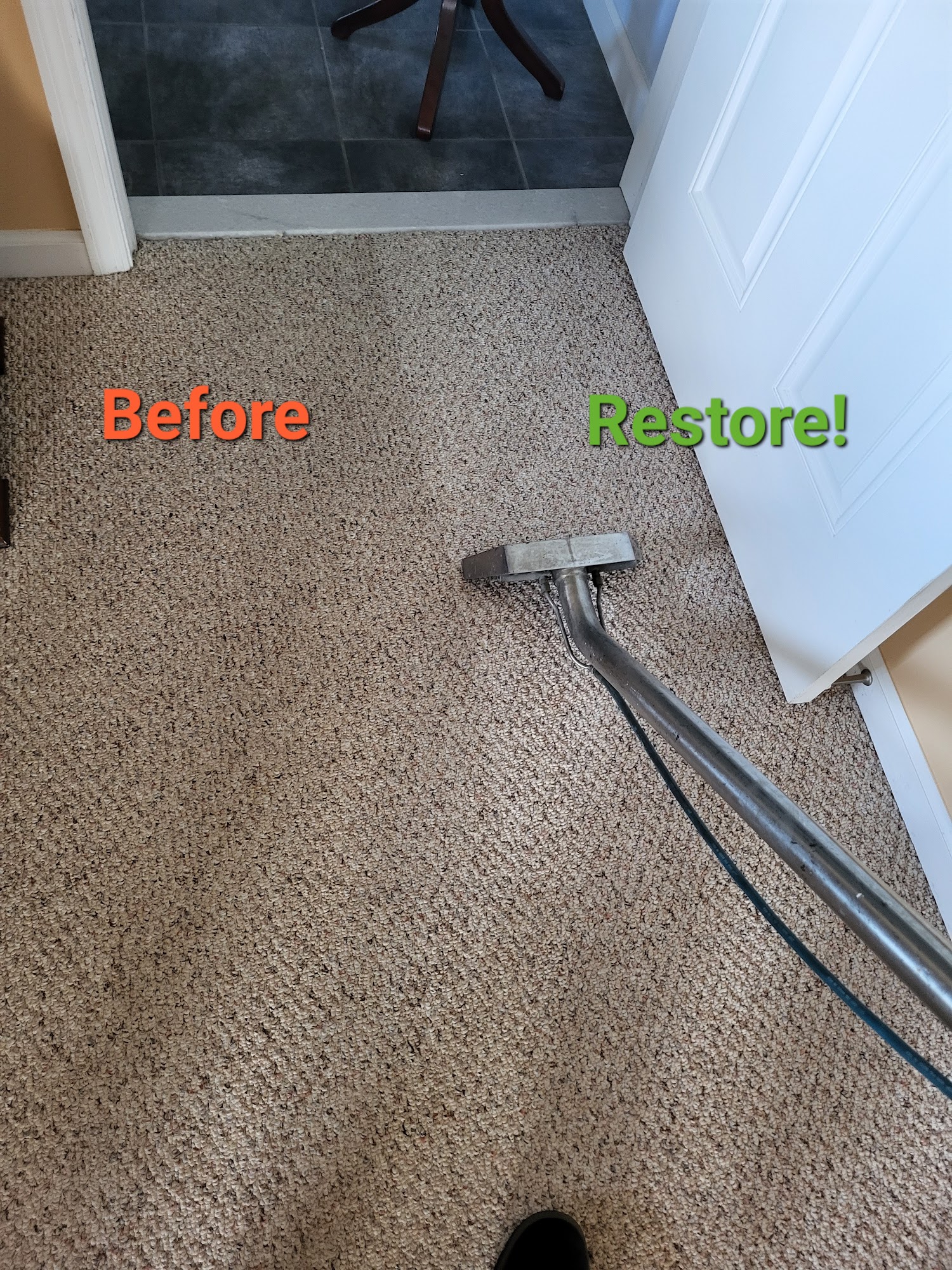 Restore Cleaning Solutions 4 Chestnut Ct, Mullica Hill New Jersey 08062