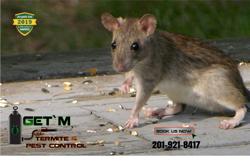 Get'm Pest Control & Exterminator in NJ